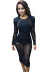 Black 2pcs Lace Mesh Insert Long Sleeve Club Dress